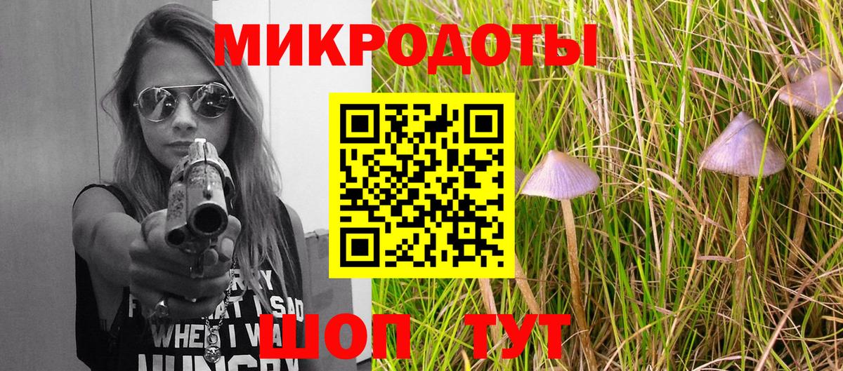 Псилоцибиновые грибы мицелий Россия